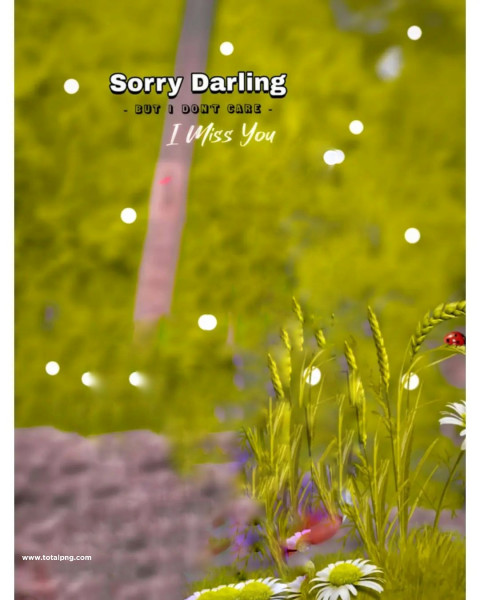 I miss you darling hd cb editing background