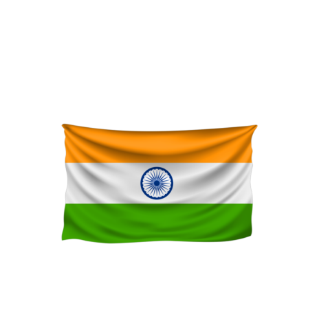 Independence Day flag png