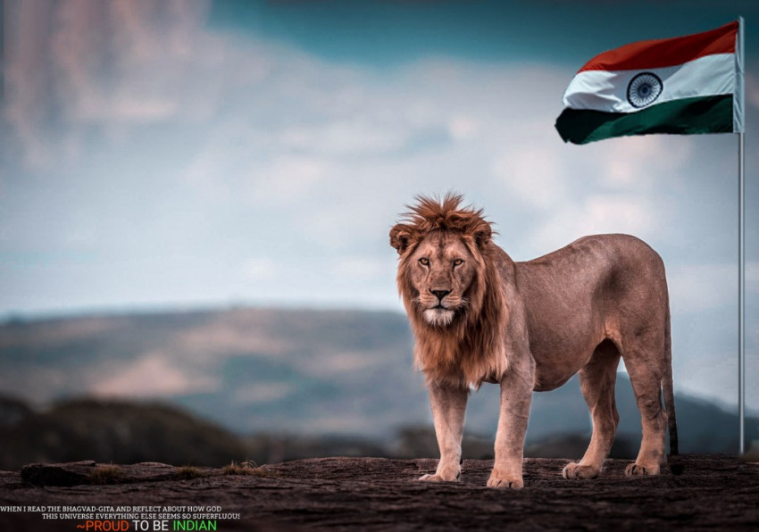 Independence day lion editing background