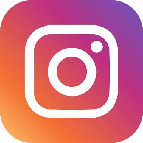 Instagram Full Logo PNG Image