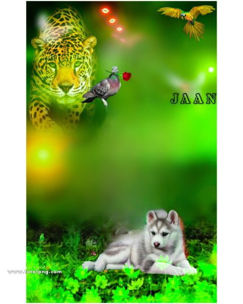 Jaan CB Background download