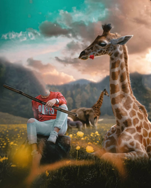 JIRRAFE editing background (1)