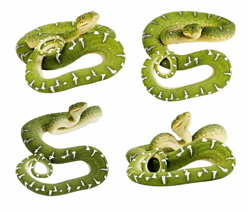 King cobra snake picsart snake editing png