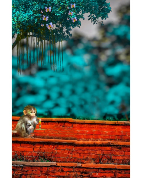 Latest Cb Blur Background For Picsart Snapseed edit