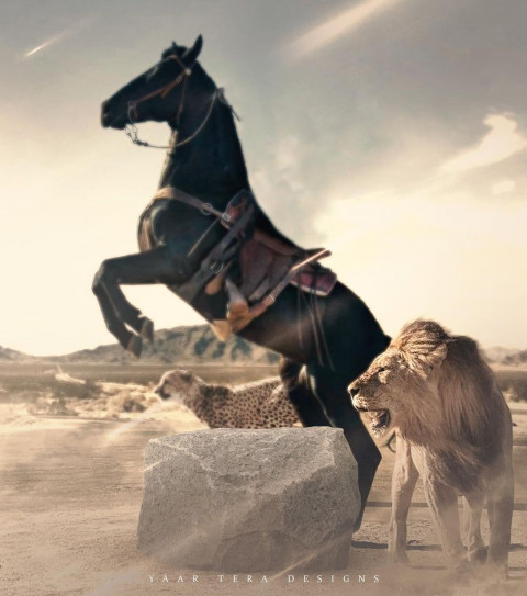 lion & Horse editing backgrounds