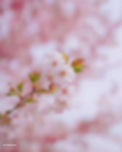 Little pink editing background