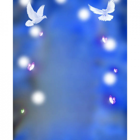 m editor  777 312017908 1141244826501964 4176241372978337815 n copy