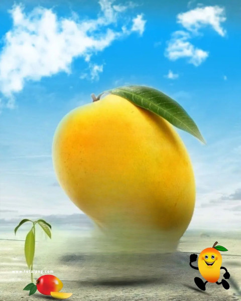 Mango cb editing background by totalpng