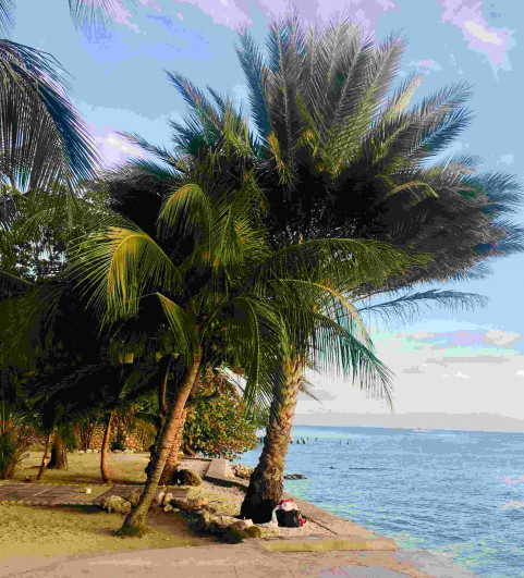 Manipulation Cb Background Full Hd Download Free