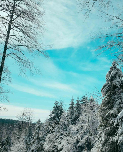 Merry christmas manipulation editing background