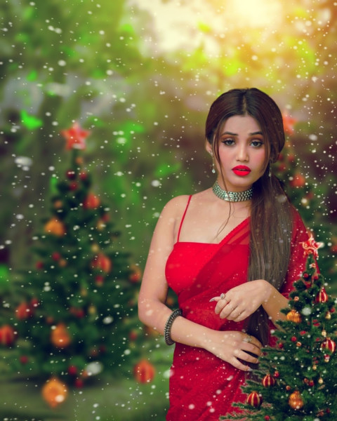 Merry christmas photo editing background