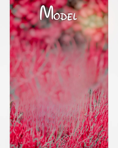 Model cb editing background