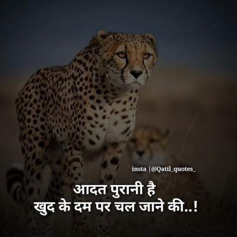 Motivational quotes for students success (1)