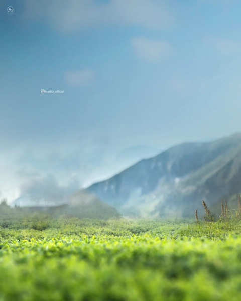 Narure hd editing background