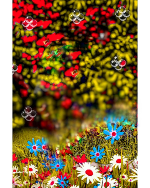 nature cb background images