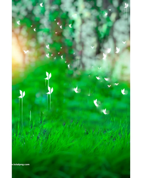 New 2022cb editing background