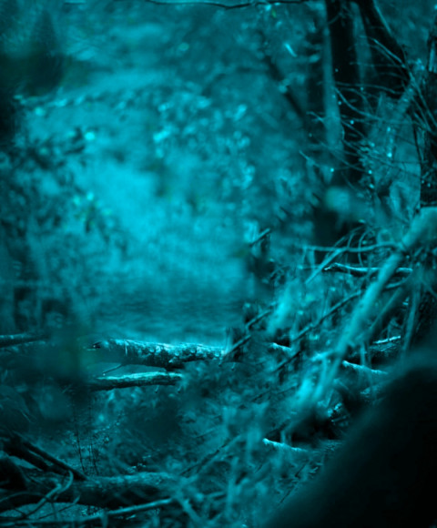 New Cb editing background download (1)