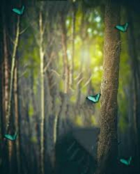 New Hd Editing Background For Picasrt And Photoshop