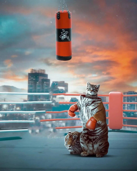 New Instagram picsart cb editing backgrounds