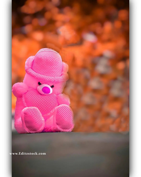 New Teddy Cb Background For Snapseeed Hd Download