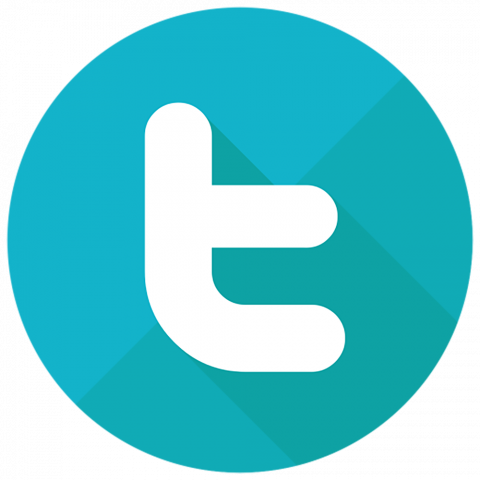 New twitter logo transprent png