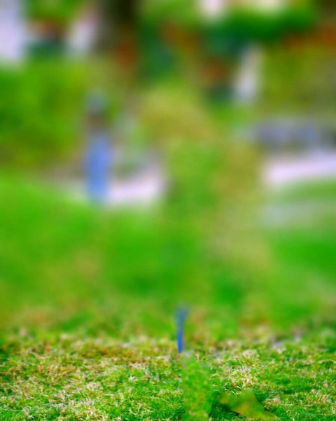 Photoshop editing background download (7)