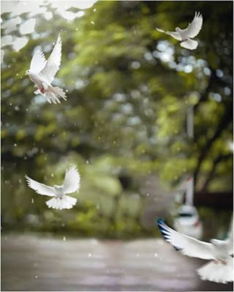 Picasrt Instagram Hd Editing Background download