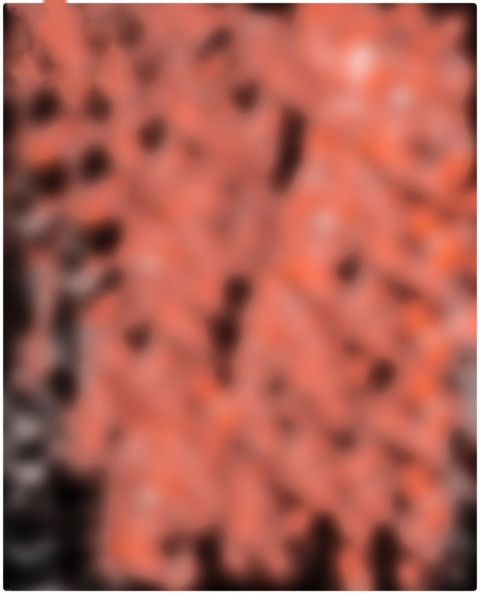 picsart 06 18 106895584861308358435 1241x1536(2)