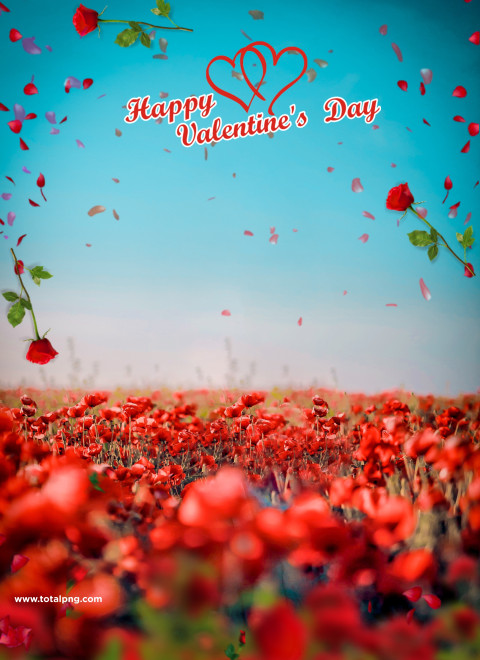 Picsart Cb Valentine Background