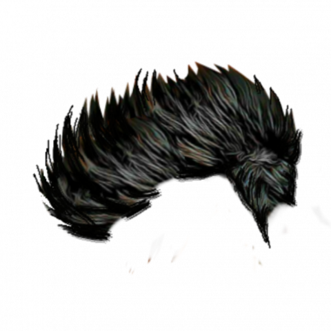 Picsart editing hair png