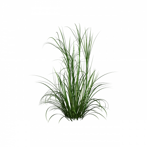 Picsart grass png download