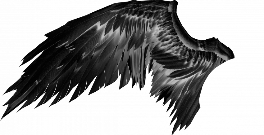 Picsart hd wing png download