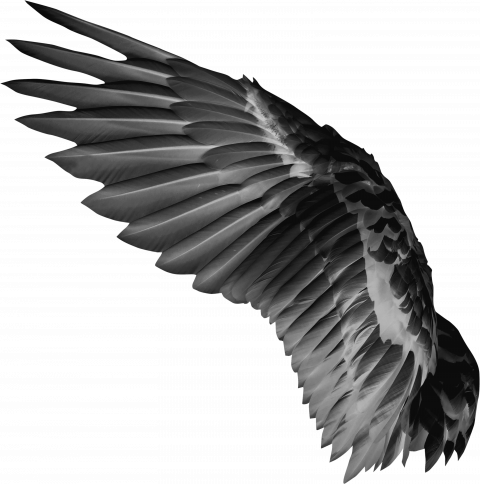Picsart hd wings png download