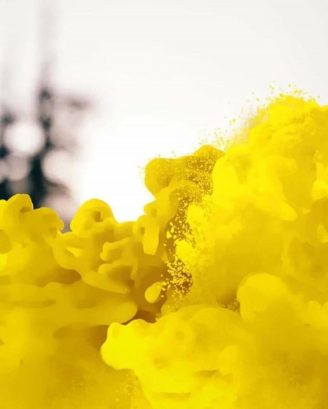 Picsart holi editing background free