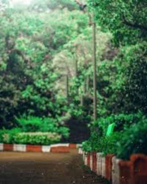 Picsart Instagram Manipualtion Instagram Editing Background