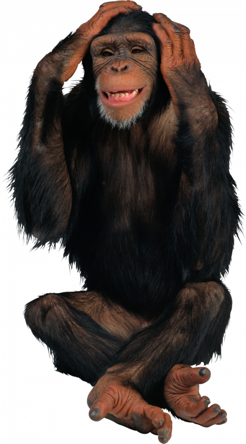 Picsart monkey editing png