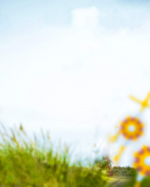 Picsart Raksha bandhan editing Background