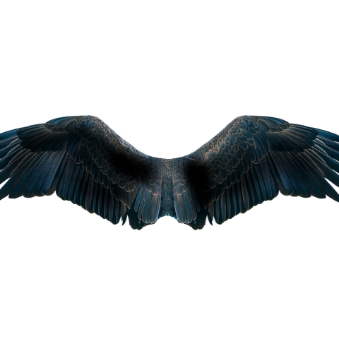 Picsart wing transprent background