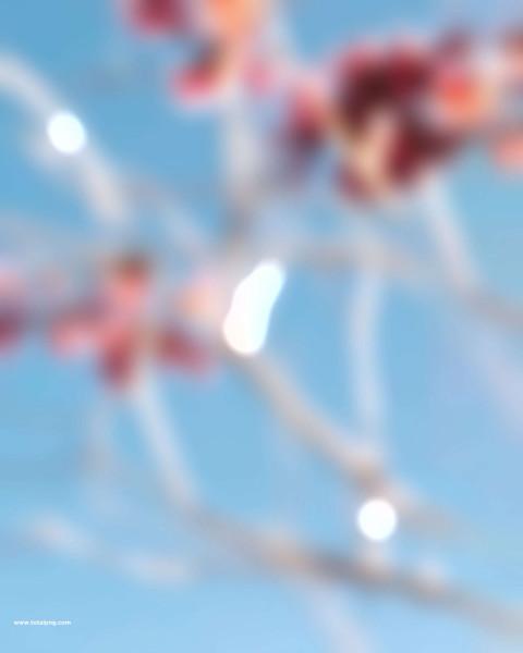 Pink bloosm editing background