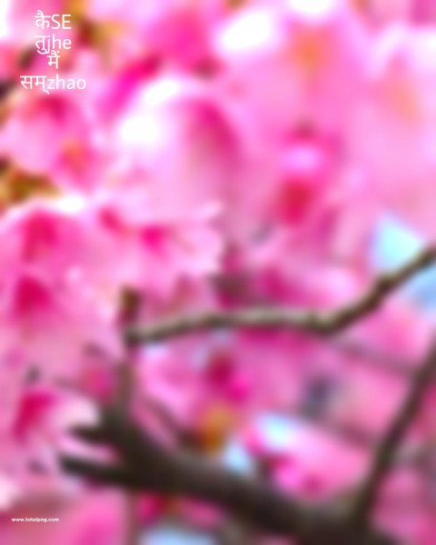 pink cb editing background