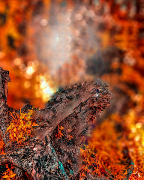 Rdx editor Cb Editing Background