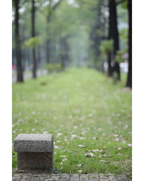 Realstic new hd editing background