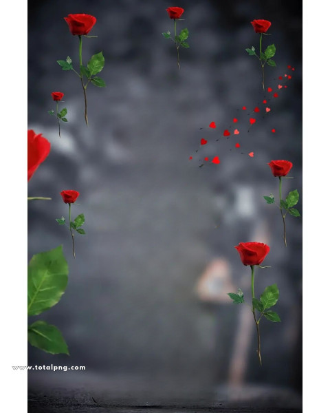 Rose cb editing background new
