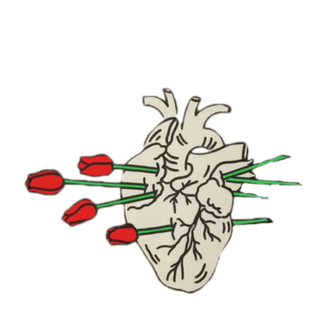 Rose in heart Hd png