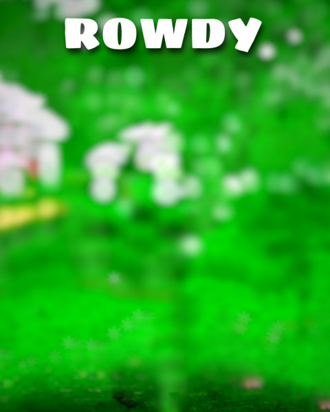 Rowdy Cb Editing Background