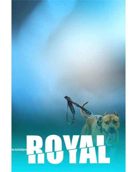 Royal Cb Manipulation Editing Background Downloaqd free