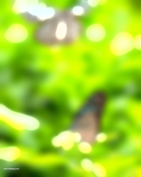 Sajjid editing background