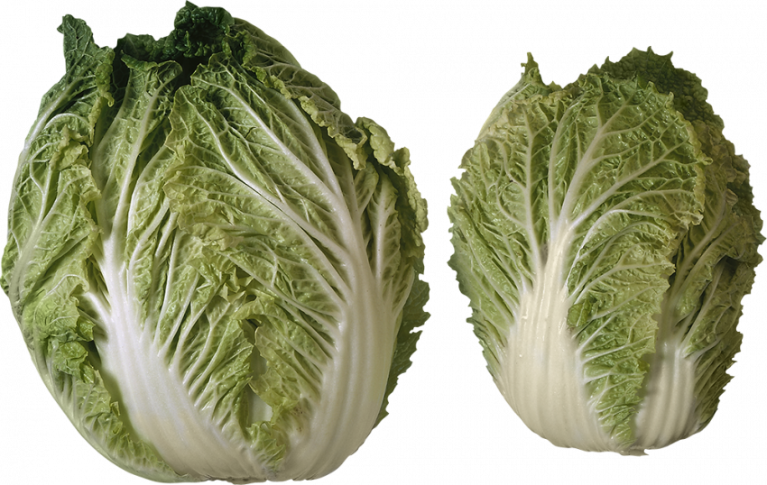 Salad clipart png hd,Salad PNG Images