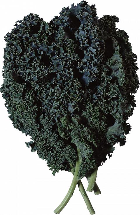 Salad eating transparent png img,Salad PNG Images