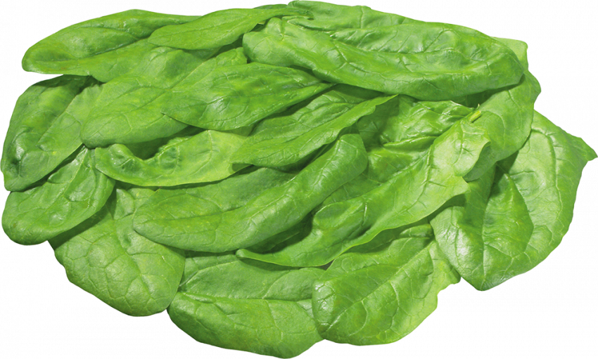Salad PNG Images